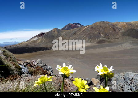 Tongariro National Park Stock Photo