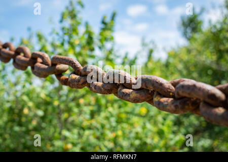 Close up of a rusty, thick steel chain on a blurry background of trees and sky. Stock Photo