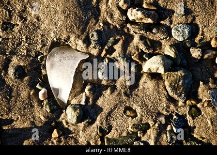 Sea glass waste and pollution washed up on a beach in Rhosneigr, Anglesey, North Wales, UK