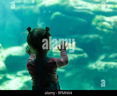 little girl watching fishes in a large aquarium in the Oceanopolis, Brest, France 31 May 2108. Stock Photo