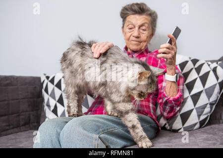 very old senior Caucasian grandmother with gray hair and deep wrinkles sitting home on sofa in jeans and shirt with gray fluffy shaggy cat and using s Stock Photo