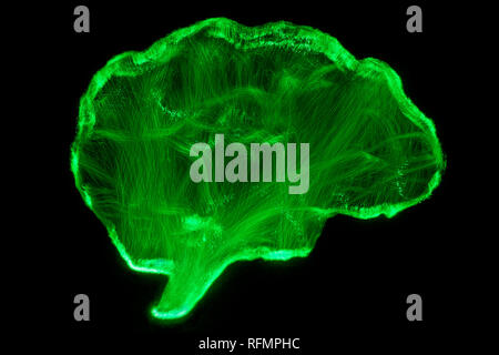 Representation of human brain by light painting technique Stock Photo
