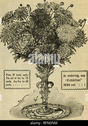 . Magnificent offers : 25 special bargains in roses, bulbs, plants, seeds. Nursery stock Ohio Springfield Catalogs; Roses Catalogs; Flowers Catalogs; Bulbs (Plants) Catalogs. Champion City Greennouscs, Springfield, Ohio. u EXHIBITION&quot; 1898 &amp;i m^f- Chrysanthemums The Chrysanthemums named on this page are the choicest productions from all exhibitions and sources for the year 1898, Our patrons can rely on them being each and everyone the very choicest color, as awards are not given until the judges arc satisfied that they are better than any existing sorts. So if you wish to be up to dat Stock Photo