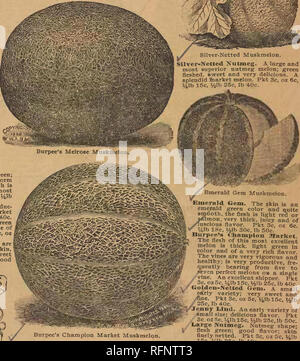. Alneer Brothers seed &amp; plant catalogue for 1897. Vegetables Seeds Catalogs; Flowers Seeds Catalogs; Plants, Ornamental Catalogs; Commercial catalogs Illinois Rockford. . Please note that these images are extracted from scanned page images that may have been digitally enhanced for readability - coloration and appearance of these illustrations may not perfectly resemble the original work.. Alneer Brothers..