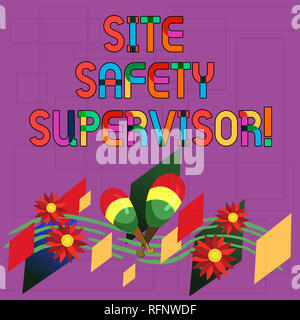 Text sign showing Site Safety Supervisor. Conceptual photo responsible for employing safety regulations in site Colorful Instrument Maracas Handmade F Stock Photo