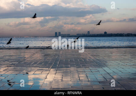Birds flying at early morning at seaside in winter's Izmir (Turkey) Stock Photo