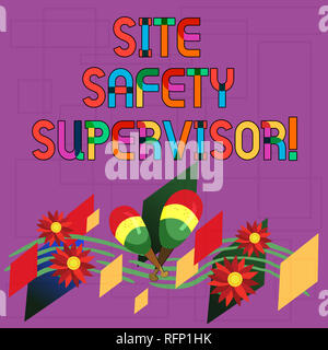 Text sign showing Site Safety Supervisor. Conceptual photo responsible for employing safety regulations in site Colorful Instrument Maracas Handmade F Stock Photo