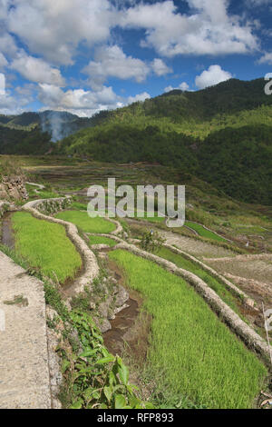 Beautiful rice terraces in Fidelisan village, Sagada, Mountain Province, Philippines Stock Photo