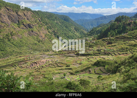 Beautiful rice terraces in Fidelisan village, Sagada, Mountain Province, Philippines Stock Photo