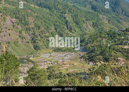 Beautiful rice terraces in Fidelisan village, Sagada, Mountain Province, Philippines Stock Photo