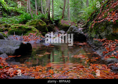 Eastern Black Sea region attracts attention with its natural beauties.  creeks in autumn creates beautiful images. Stock Photo