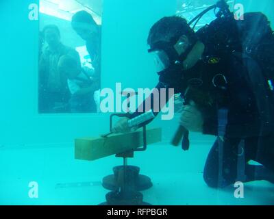 DEU, Federal Republic of Germany, Hannover : Demonstration of the divers of a fire brigade..Hannover fairgrounds. Interschutz, Stock Photo