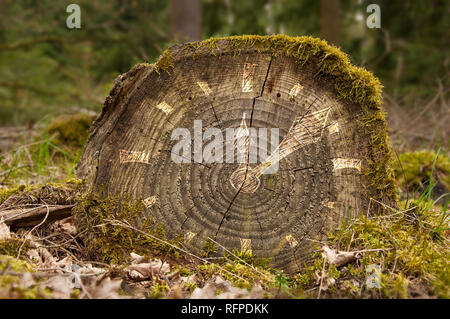 Bright illustration of a clock on an old stump by jziprian Stock Photo