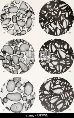 Carnegie Institution of Washington publication. TISSOT APPARATUS