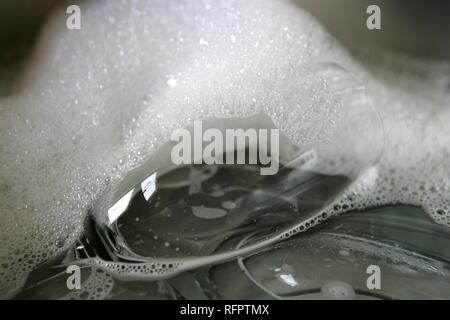 DEU, Germany: Cleaning of wine glasses by hand. Stock Photo