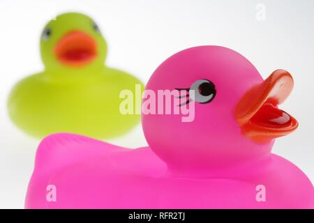 Rubber ducks Stock Photo