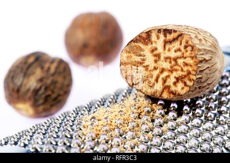 Nutmeg with grater Stock Photo