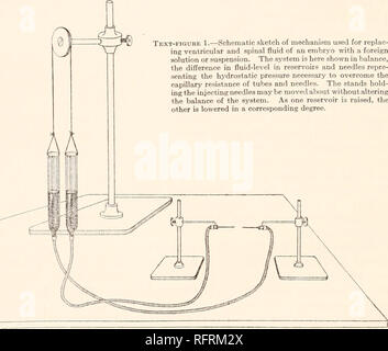 . Carnegie Institution of Washington publication. 16 DEVELOPMENT OF CEREBRO-SPINAL SPACES IN PIG AND IN MAN. by Evans^14') phagocyte the small colloidal particles. In addition, the true solution must be readily precipitated as an insoluble salt, capable of remaining unchanged in histological technique. After trying many salts in long-continued injections into the adult cerebro-spinal spaces, it was found that solutions of potassium ferro- cyanide and iron-ammonium citrate in equal parts were admirably adapted to the purposes of the experiment. By the addition of a mineral acid (preferably hydr Stock Photo