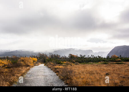 Trail through golden grasses with mountains in distance in Gros Morne National Park Newfoundland, Canada Stock Photo