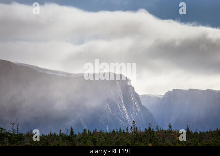 Rugged mountains in the background shrouded in mist with evergreen tree line in the foreground at Gros Morne National Park Newfoundland, Canada Stock Photo