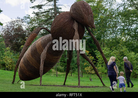 willow bee sculpture - Google Search  Environmental art, Sculptures,  Insect art