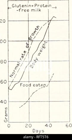 . Carnegie Institution of Washington publication. 120 FEEDING EXPERIMENTS WITH ISOLATED FOOD-SUBSTANCES. Chart LXXXVII. Chart LXXXVIII. Chart LXXXIX. 120 100. 150 130. Please note that these images are extracted from scanned page images that may have been digitally enhanced for readability - coloration and appearance of these illustrations may not perfectly resemble the original work.. Carnegie Institution of Washington. Washington, Carnegie Institution of Washington Stock Photo