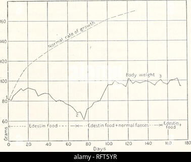 . Carnegie Institution of Washington publication. 80 100 Days Charts LXVIII (rat 196, female) and LXIX p ct (rat 193, female) show maintenance on a diet in Edestin 18.0 '.... which edestin formed the sole protein. The influ- sugar.'.'.'.!!"! is!ot0i7!o ence of faeces of normally fed animals in preventing sa^inixturei'" is "" decline in body-weight is shown during period 2. Lard '.'.'.' 25^0 30.0 The giving of faeces was discontinued during period 3. The faeces were obtained from normally fed rats temporarily intro- duced into the cage each day. The diet is given above. Char Stock Photo
