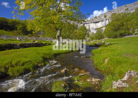 A view of Malham Cove in Malhamdale, Yorkshire Dales National Park, North Yorkshire, England, United Kingdom, Europe Stock Photo