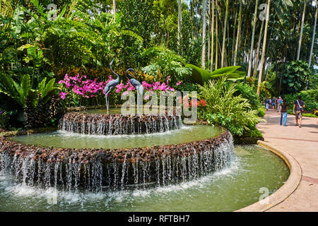 National Orchid Garden, Botanic Garden, UNESCO World Heritage Site, Singapore, Southeast Asia, Asia Stock Photo