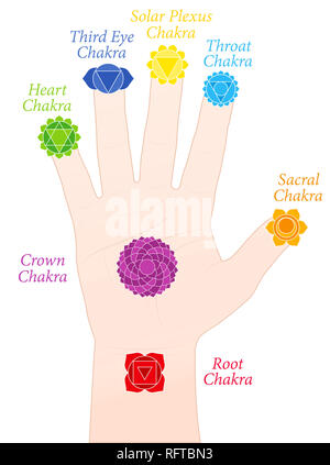 Palm chakras. Symbols and names of the main chakras at the corresponding parts of the hands - illustration on white background. Stock Photo