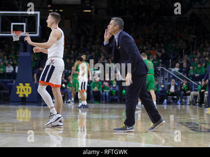 South Bend, Indiana, USA. 26th Jan, 2019. Virginia head coach Tony Bennett directs his team during NCAA Basketball game action between the Virginia Cavaliers and the Notre Dame Fighting Irish at Purcell Pavilion at the Joyce Center in South Bend, Indiana. Virginia defeated Notre Dame 82-55. John Mersits/CSM/Alamy Live News Stock Photo