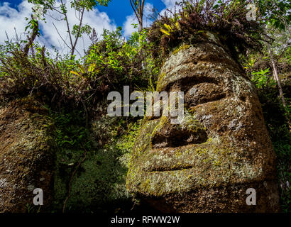 Face sculpture in Tuff rock, Asilo de la Paz, Highlands of Floreana (Charles) Island, Galapagos, UNESCO World Heritage Site, Ecuador, South America Stock Photo