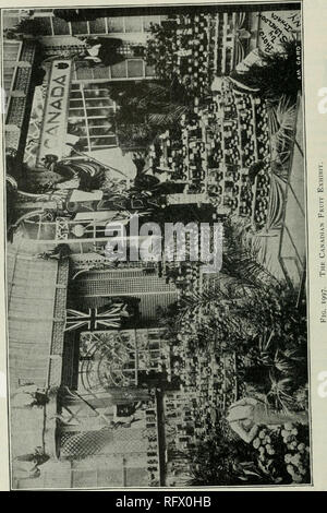 . The Canadian horticulturist [monthly], 1901. Gardening; Canadian periodicals. . Please note that these images are extracted from scanned page images that may have been digitally enhanced for readability - coloration and appearance of these illustrations may not perfectly resemble the original work.. St. Catharines, E. S. Leavenworth Stock Photo