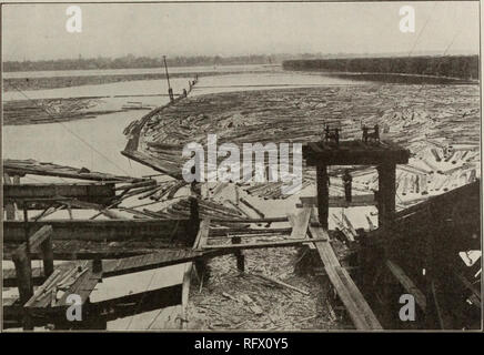 . Canadian forest industries July-December 1912. Lumbering; Forests and forestry; Forest products; Wood-pulp industry; Wood-using industries. CANADA LUMBERMAN AND WOODWORKER 5'. Partial view of booming ground and lumber yards For Quick Sale We have the following stock of lumber piled where it is necessary for us to move it quickly on account of our insurance. We offer it at attractive prices for quick sale. 3,500 ft. 5 4 No. 2 shop. 4,500 ft. 5/4 No. 3 shop. 4,000 ft. 5 4 stained saps. 8,500 ft. 5 4 outs from fine com. and bet. 20,000 ft. 5 4 No. 1 mill lum- ber. 14,000 ft. 5,4 No. 1 barn. Wri Stock Photo