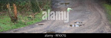 A green parakeet / parrot flies away from the camera, across a damp gravel lane or road, dotted with puddles.