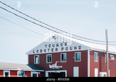Young's Lobster Pound, in Belfast, Maine Stock Photo