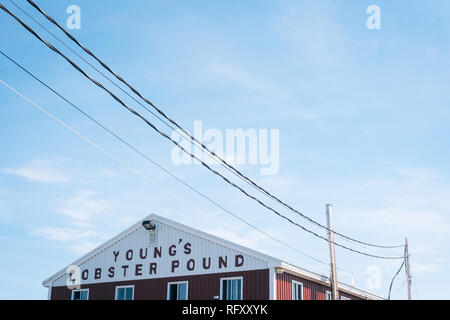 Young's Lobster Pound, in Belfast, Maine Stock Photo