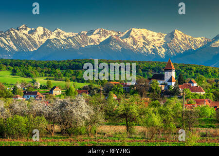 Gorgeous spring countryside landscape, church of Hosman and high snowy Fagaras mountains in background, Sibiu region, Transylvania, Romania, Europe Stock Photo