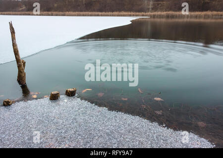 Semi frozen lake, ripples in the water and dry, cut tree sticking out from the ice Stock Photo