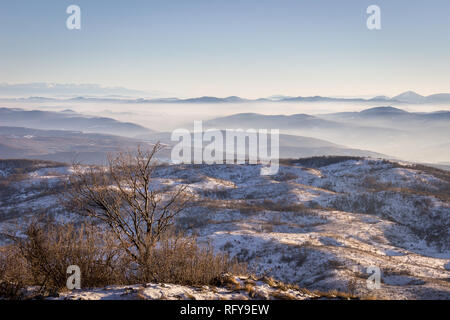 Dry foreground autumn tree, misty mountain layers and vast, soft landscape covered with snow Stock Photo