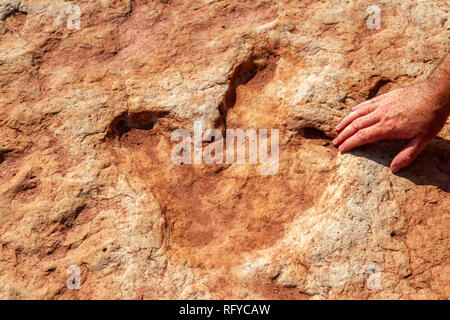 Close up of three toed dinosaur tracks, with a human hand for scale, at the Moenkopi Dinosaur Tracks site near Tuba City, Arizona, United States. Stock Photo
