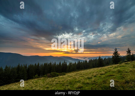 Mountain landscape at sunset. Panoramic summer view of green grassy valley slope on distant woody foggy mountains lit by setting sun under dark blue c Stock Photo