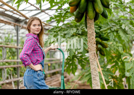 awesome girl standing on the ladder near the papaya Stock Photo