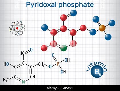 Pyridoxal phosphate (PLP, pyridoxal 5'-phosphate, P5P), vitamin B6, is a coenzyme. Structural chemical formula and molecule model. Sheet of paper in a Stock Vector