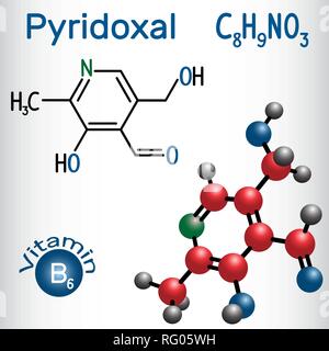 Pyridoxal molecule, is a vitamin B6. Structural chemical formula and molecule model. Vector illustration Stock Vector