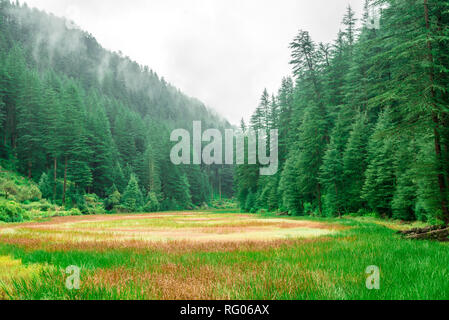 Grass covered punrik rishi lake in himalayas, Sainj Valley, Himachal Pradesh, India Stock Photo