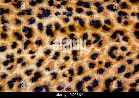 Fashionable Leopard Seamless Pattern. Stylized Spotted Leopard Skin Background Stock Photo