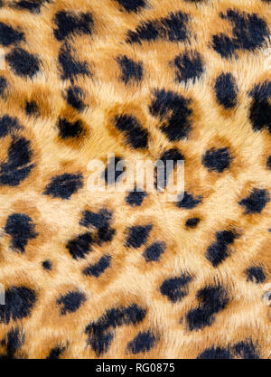 Fashionable Leopard Seamless Pattern. Stylized Spotted Leopard Skin Background Stock Photo