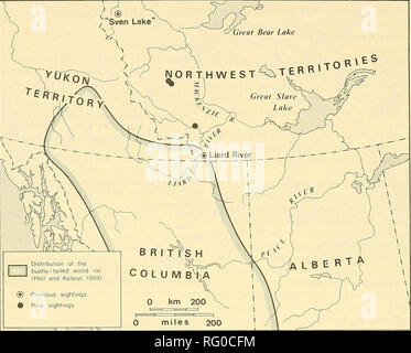 . The Canadian field-naturalist. 490 The Canadian Field-Naturalist Vol. 88. Figure 1. Distribution of the bushy-tailed wood rat showing range extensions. the National Museum and the specimen was identified as A', c. driiminondii their catalogue number for that specimen is 42799. In the fall of 1972, big-game guide Stewart Sinclair-Smith killed a bushy-tailed wood rat south of Little Dal Lake (62°40' N, 126°42 1/2' W). Around that time he also found the remains of another wood rat in the Silverberry (South Redstone) River area north of Little Dal Lake (62'40' N, 126'=45' W). Simmons has a phot Stock Photo