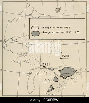 . The Canadian field-naturalist. 1986 Notes 29. Figure 1. The distribution of Helleborine (Epipactis helleborine) in Ontario (dots with year represent recent range extentions: see text).. Please note that these images are extracted from scanned page images that may have been digitally enhanced for readability - coloration and appearance of these illustrations may not perfectly resemble the original work.. Ottawa Field-Naturalists' Club. Ottawa, Ottawa Field-Naturalists' Club Stock Photo